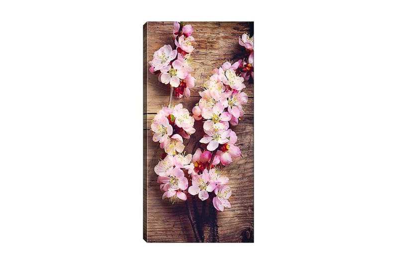 Canvastavla DKY Floral & Botanical Flerfärgad, 50x120 cm