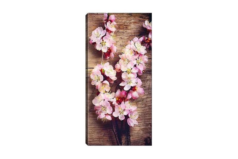 Canvastavla DKY Floral & Botanical Flerfärgad, 50x120 cm