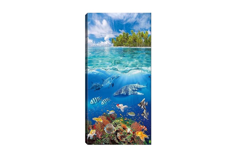 Canvastavla DKY Landscape & Nature Flerfärgad - 50x120 cm - Inredning - Tavlor & konst - Canvastavlor