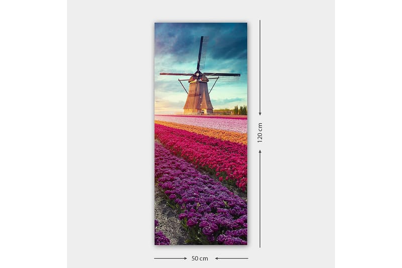 Canvastavla DKY Landscape & Nature Flerfärgad - 50x120 cm - Inredning - Tavlor & konst - Canvastavlor