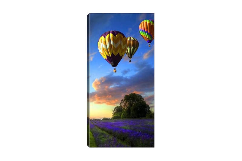 Canvastavla DKY Landscape & Nature Flerfärgad - 50x120 cm - Inredning - Tavlor & konst - Canvastavlor