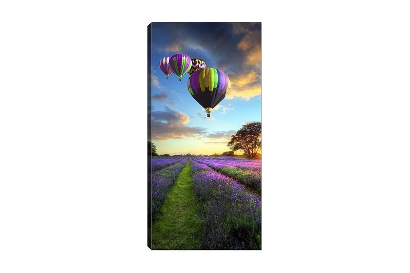 Canvastavla DKY Landscape & Nature Flerfärgad, 50x120 cm