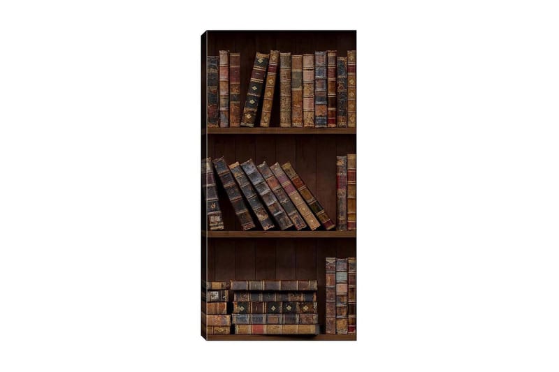 Canvastavla DKY Reading and Literature Flerfärgad - 50x120 cm - Inredning - Tavlor & konst - Canvastavlor