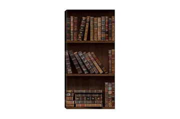 Canvastavla DKY Reading and Literature Flerfärgad - 50x120 cm - Inredning - Tavlor & konst - Canvastavlor