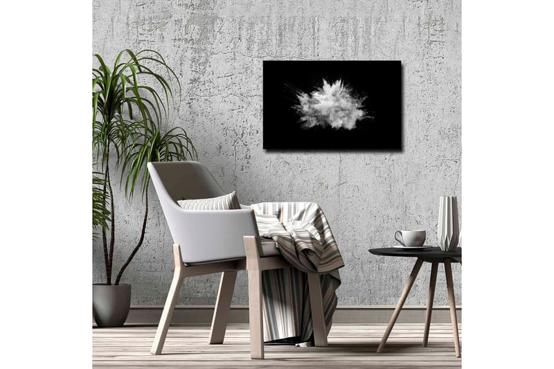 Canvastavla - Dramatiskt moln av pulver som exploderar mot en svart bakgrund - Vit / Svart - Inredning - Tavlor & konst - Canvastavlor