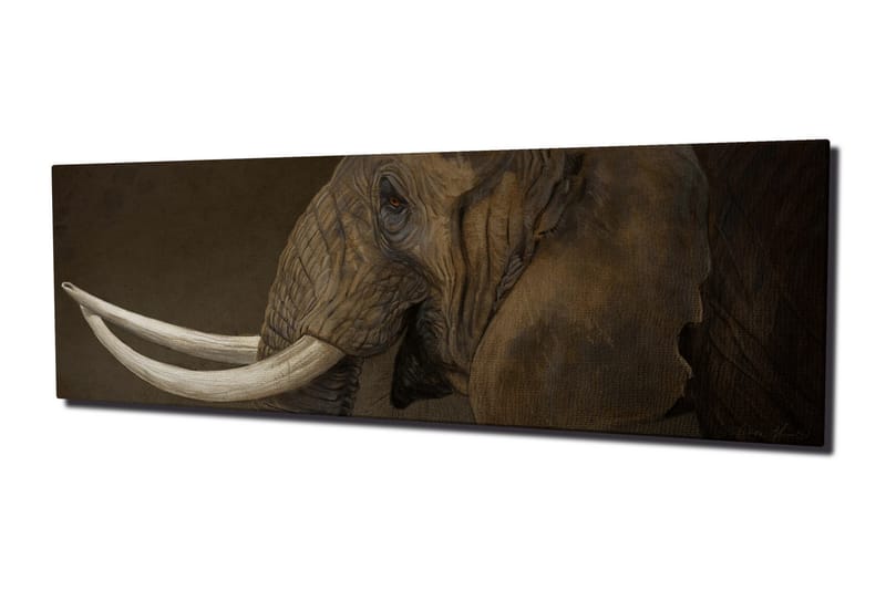 Canvastavla Elefant med betar - Grå/Vit - Inredning - Tavlor & konst - Canvastavlor