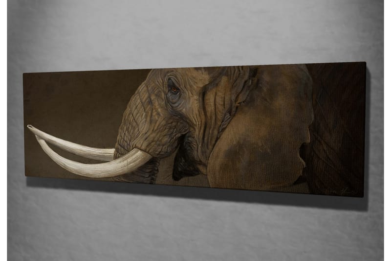 Canvastavla Elefant med betar - Grå/Vit - Inredning - Tavlor & konst - Canvastavlor