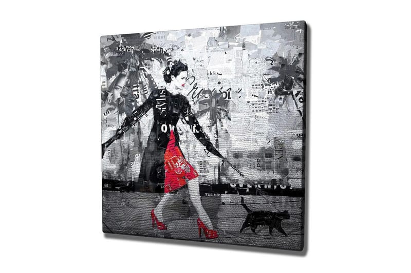 Canvastavla - Elegant kvinna i röd klänning med svart katt i en urban miljö, Röd / Svart / Grå