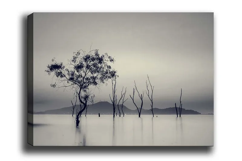 Canvastavla - Ensamstående träd i dimmig vattenlandskap, Svart / Grå / Vit