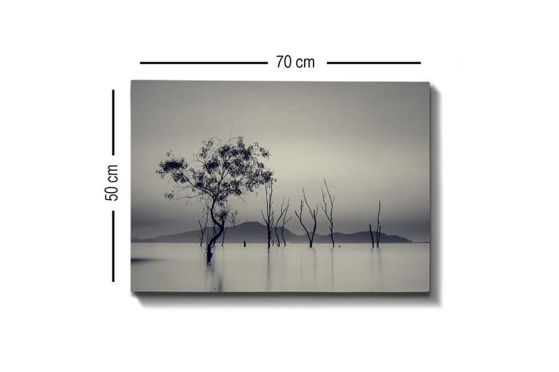 Canvastavla - Ensamstående träd i dimmig vattenlandskap - Svart / Grå / Vit - Inredning - Tavlor & konst - Canvastavlor