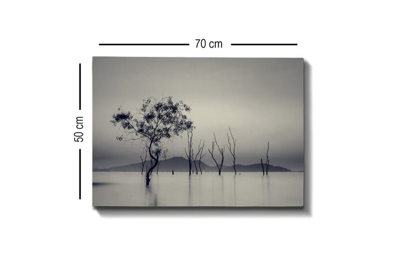 Canvastavla - Ensamstående träd i dimmig vattenlandskap - Svart / Grå / Vit - Inredning - Tavlor & konst - Canvastavlor