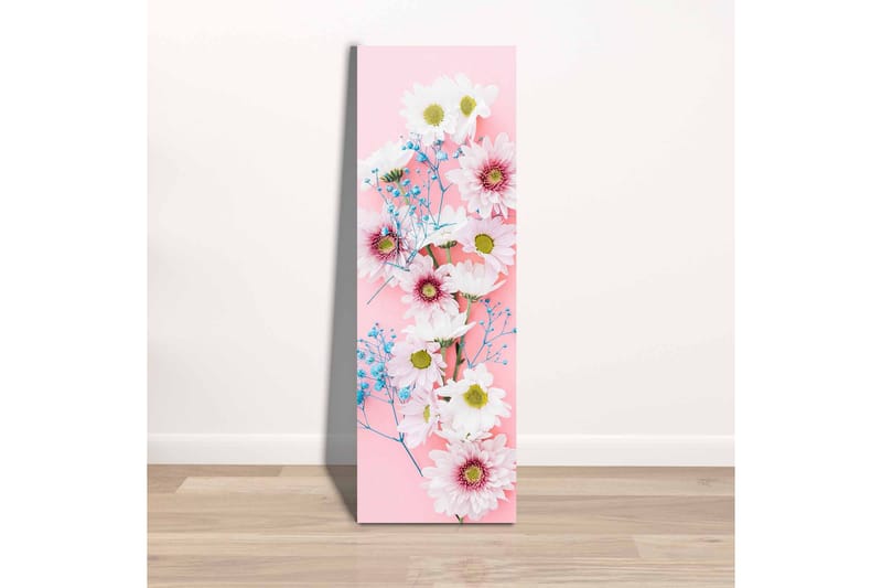 Canvastavla - Färgglad bukett av prästkragar och blommor på rosa bakgrund - Rosa / Vitt / Blått - Inredning - Tavlor & konst - Canvastavlor
