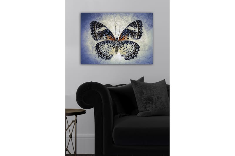 Canvastavla - Färgglad fjäril med detaljerade vingar - Blå / Svart / Orange - Inredning - Tavlor & konst - Canvastavlor