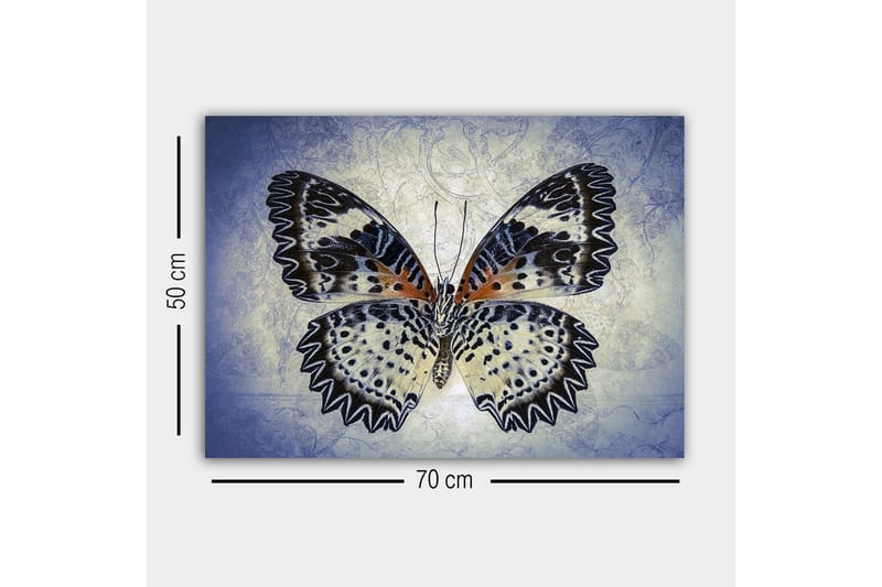 Canvastavla - Färgglad fjäril med detaljerade vingar - Blå / Svart / Orange - Inredning - Tavlor & konst - Canvastavlor
