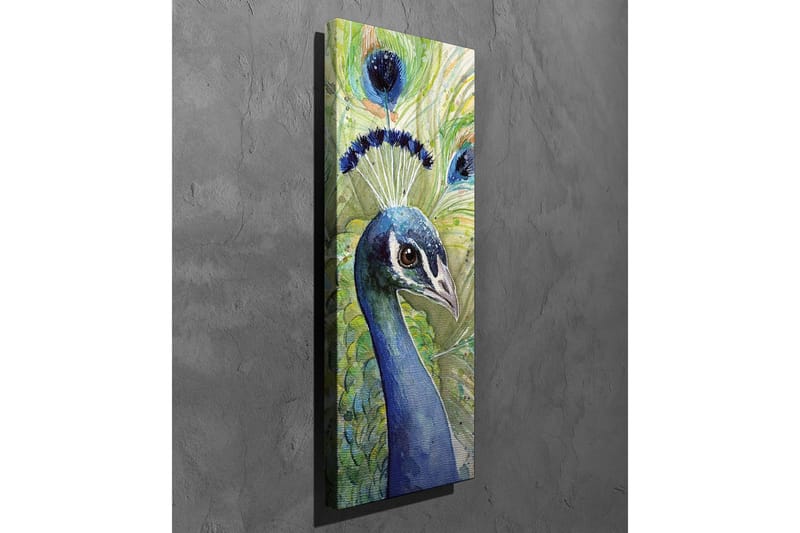 Canvastavla - Färgglad påfågel med utsmyckad fjäderdräkt - Blå / Grön / Svart - Inredning - Tavlor & konst - Canvastavlor