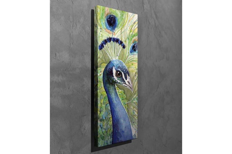 Canvastavla - Färgglad påfågel med utsmyckad fjäderdräkt - Blå / Grön / Svart - Inredning - Tavlor & konst - Canvastavlor