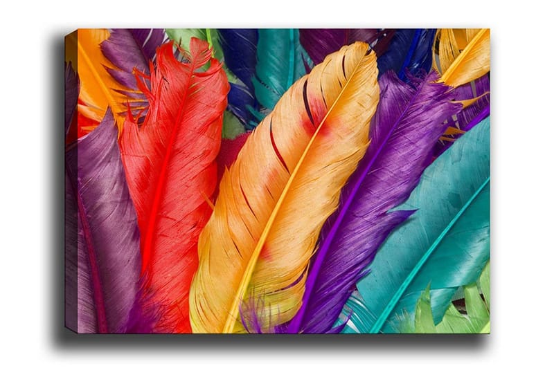 Canvastavla - Färgglada fjädrar i olika nyanser, Röd / Lila / Orange