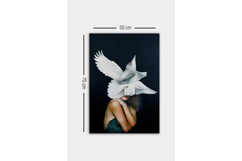 Canvastavla - Fåglar som svävar över en kvinna med en naken axel - Vit / Svart / Hudfärg - Inredning - Tavlor & konst - Canvastavlor