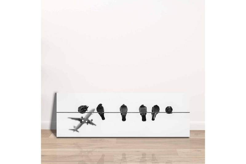Canvastavla - Fåglar på en ledning med ett flygplan i bakgrunden - Svart / Vitt - Inredning - Tavlor & konst - Canvastavlor