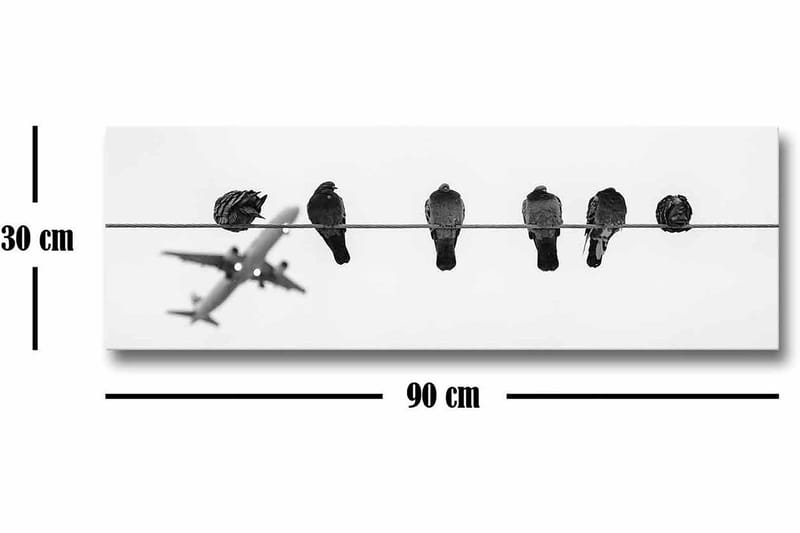 Canvastavla - Fåglar på en ledning med ett flygplan i bakgrunden - Svart / Vitt - Inredning - Tavlor & konst - Canvastavlor
