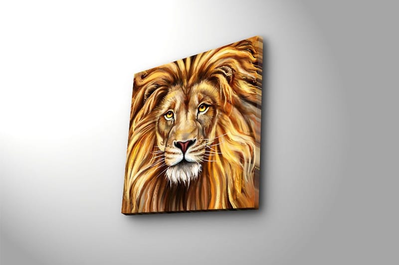 Canvastavla Flerfärgad - 45x45 cm - Inredning - Tavlor & konst - Canvastavlor