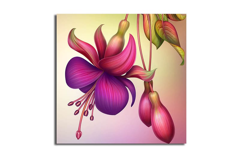 Canvastavla Flerfärgad - 45x45 cm - Inredning - Tavlor & konst - Canvastavlor