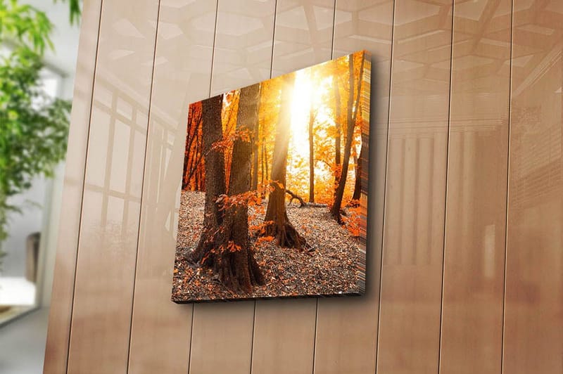 Canvastavla Flerfärgad - 45x45 cm - Inredning - Tavlor & konst - Canvastavlor