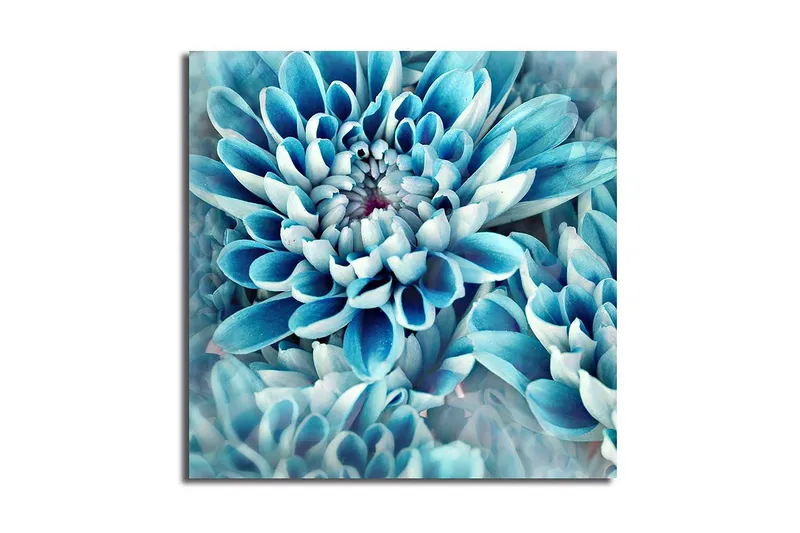 Canvastavla Flerfärgad - 45x45 cm - Inredning - Tavlor & konst - Canvastavlor