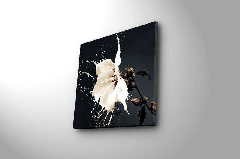 Canvastavla Flerfärgad - 45x45 cm - Inredning - Tavlor & konst - Canvastavlor