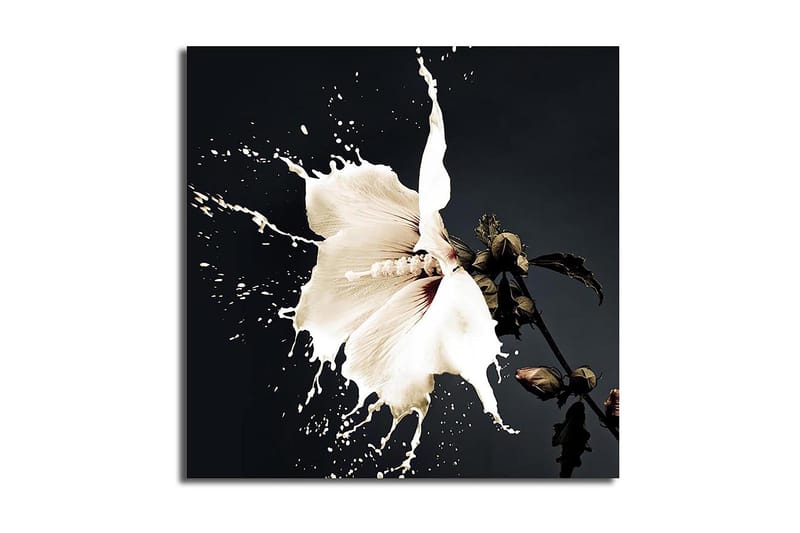 Canvastavla Flerfärgad, 45x45 cm