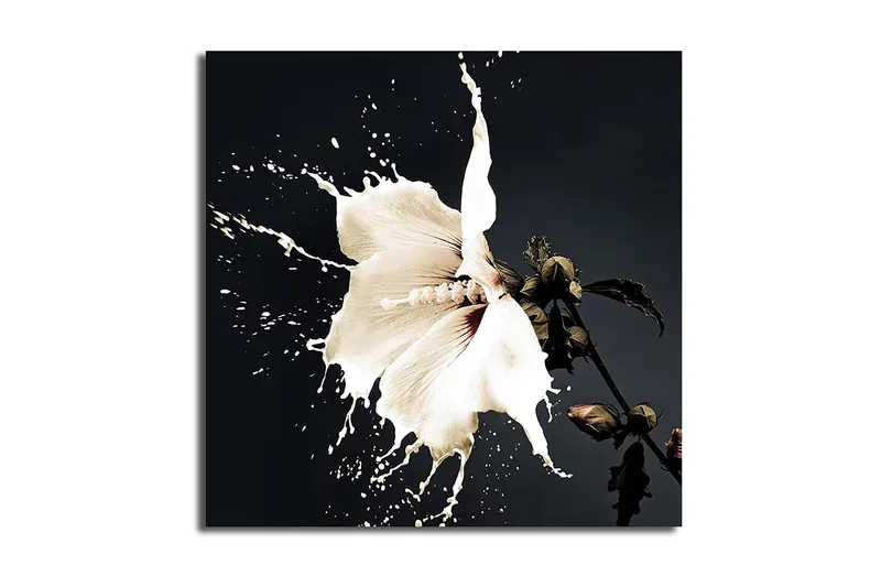 Canvastavla Flerfärgad, 45x45 cm