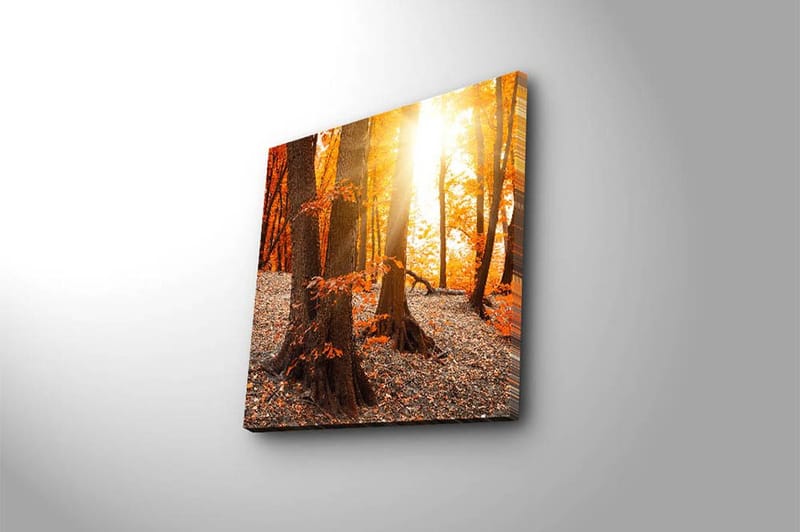 Canvastavla Flerfärgad - 45x45 cm - Inredning - Tavlor & konst - Canvastavlor