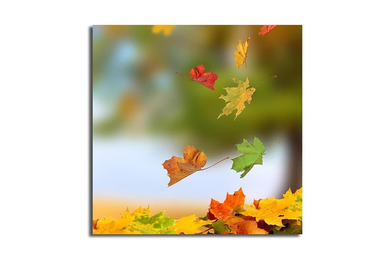 Canvastavla Flerfärgad, 45x45 cm