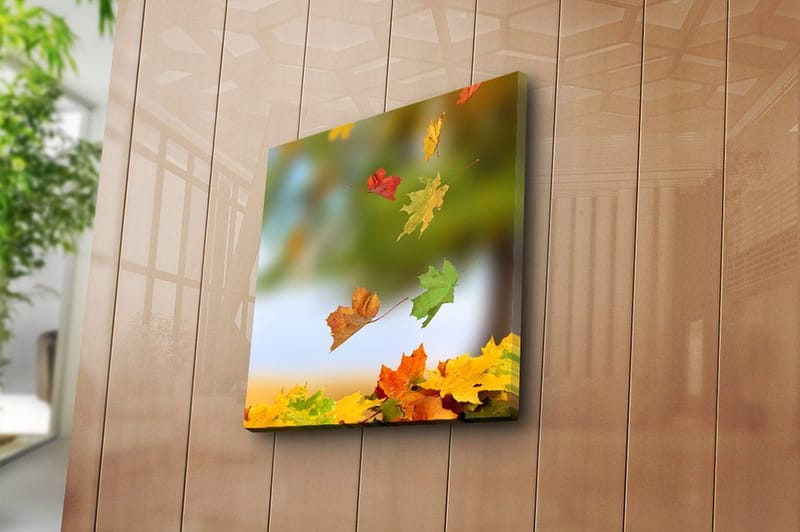 Canvastavla Flerfärgad - 45x45 cm - Inredning - Tavlor & konst - Canvastavlor