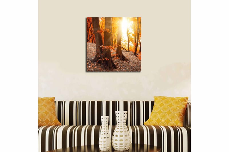 Canvastavla Flerfärgad - 45x45 cm - Inredning - Tavlor & konst - Canvastavlor