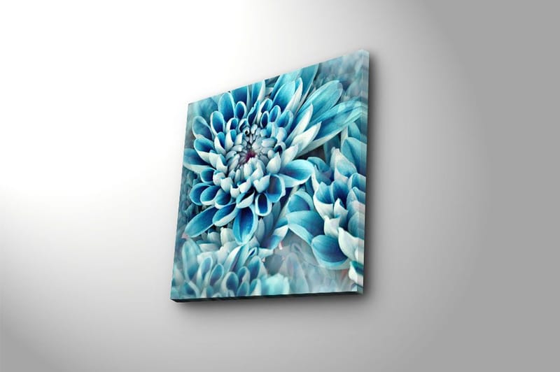 Canvastavla Flerfärgad - 45x45 cm - Inredning - Tavlor & konst - Canvastavlor