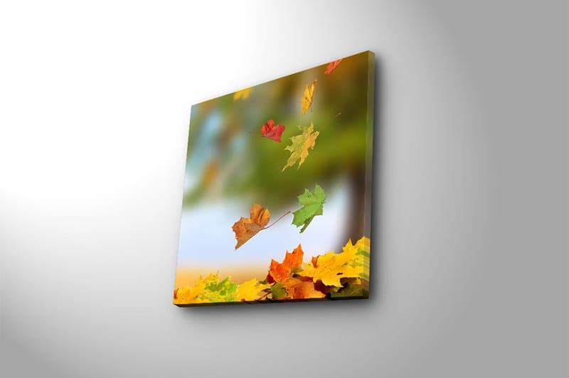 Canvastavla Flerfärgad - 45x45 cm - Inredning - Tavlor & konst - Canvastavlor