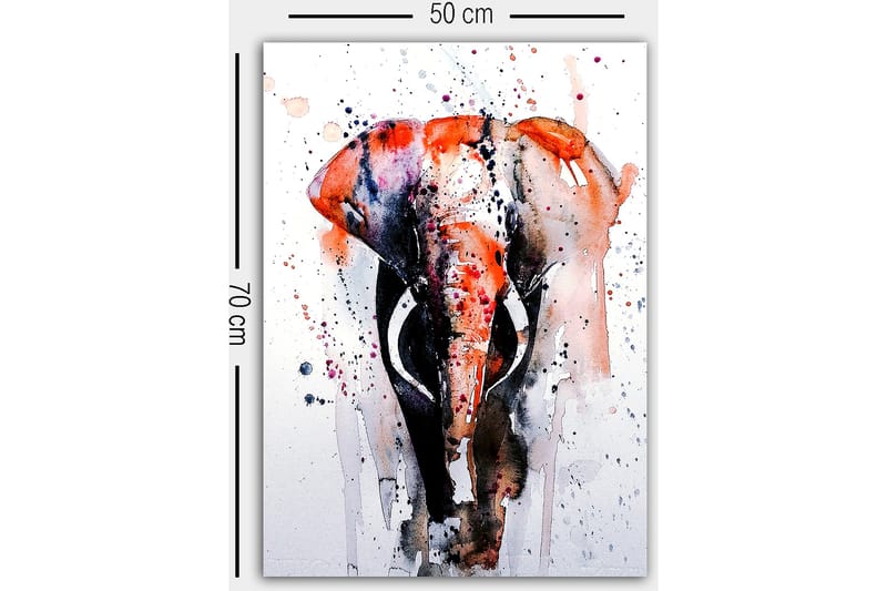 Canvastavla Flerfärgad - 50x70 cm - Inredning - Tavlor & konst - Canvastavlor
