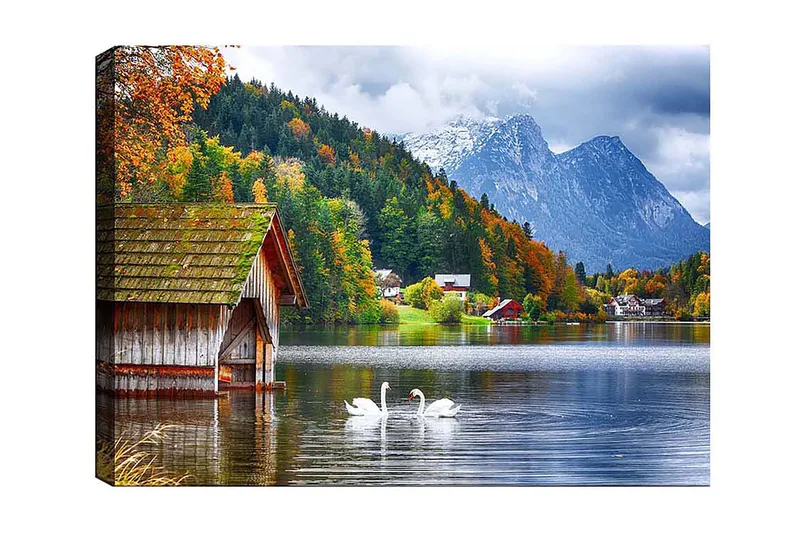 Canvastavla Flerfärgad, 50x70 cm