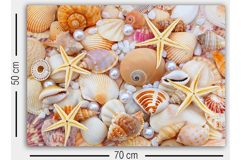 Canvastavla Flerfärgad - 50x70 cm - Inredning - Tavlor & konst - Canvastavlor