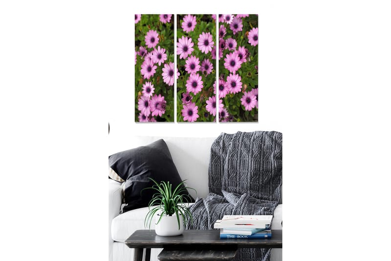 Canvastavla Floral 3-pack Flerfärgad - 20x50 cm - Canvastavlor