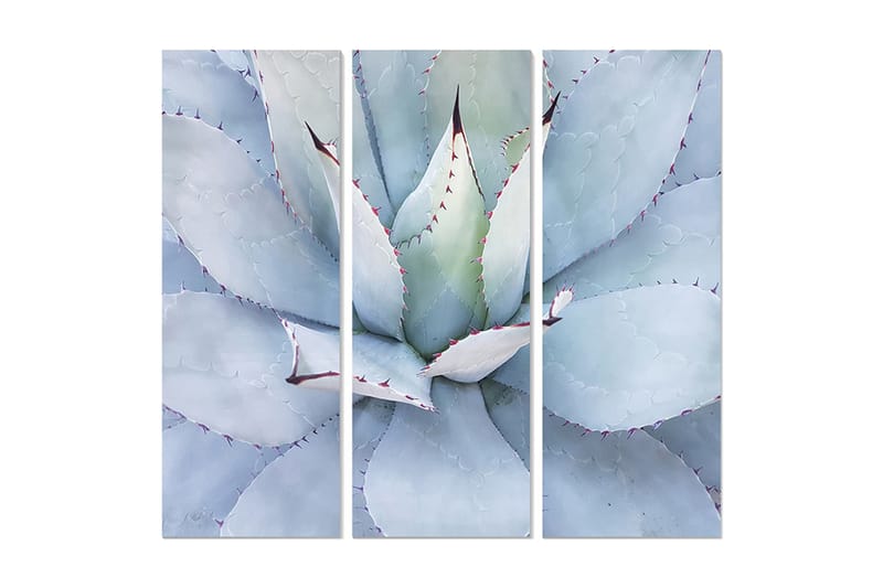 Canvastavla Floral 3-pack Flerfärgad - 20x50 cm - Inredning - Tavlor & konst - Canvastavlor