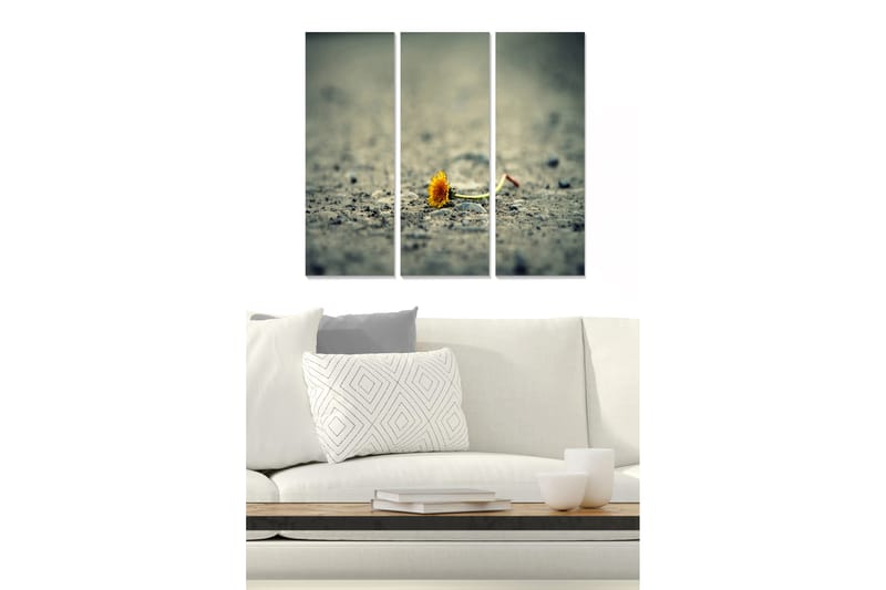 Canvastavla Floral 3-pack Flerfärgad - 20x50 cm - Inredning - Tavlor & konst - Canvastavlor