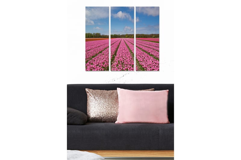 Canvastavla Floral 3-pack Flerfärgad - 20x50 cm - Inredning - Tavlor & konst - Canvastavlor