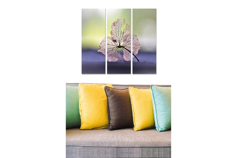 Canvastavla Floral 3-pack Flerfärgad - 20x50 cm - Inredning - Tavlor & konst - Canvastavlor