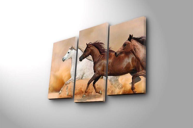 Canvastavla Floral 3-pack Flerfärgad - 20x39 cm - Inredning - Tavlor & konst - Canvastavlor