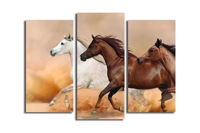 Canvastavla Floral 3-pack Flerfärgad, 20x39 cm