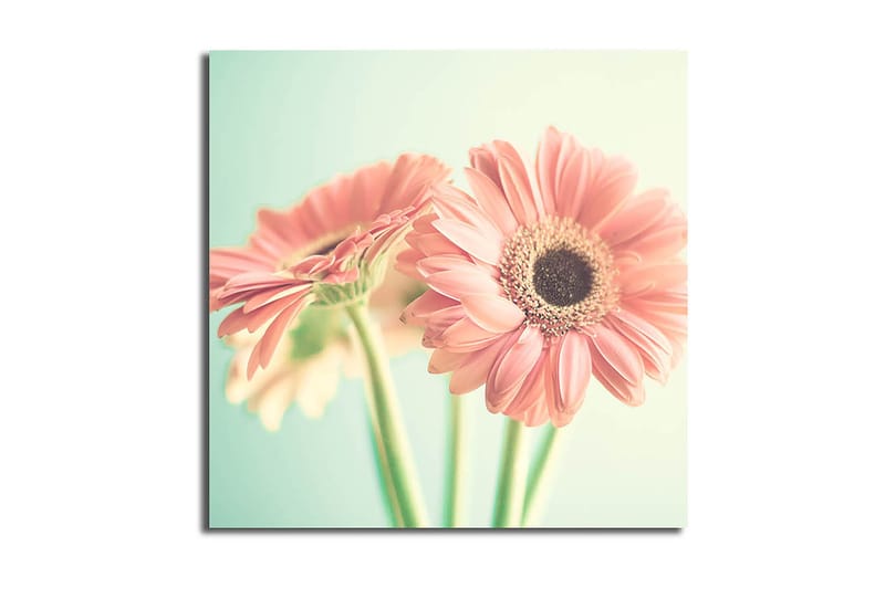 Canvastavla Floral Flerfärgad - 45x45 cm - Inredning - Tavlor & konst - Canvastavlor