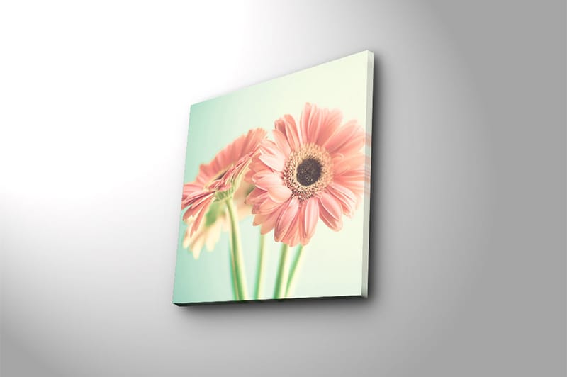 Canvastavla Floral Flerfärgad - 45x45 cm - Inredning - Tavlor & konst - Canvastavlor