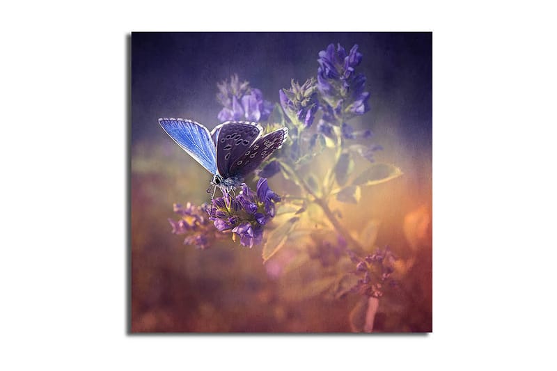 Canvastavla Floral Flerfärgad - 45x45 cm - Inredning - Tavlor & konst - Canvastavlor
